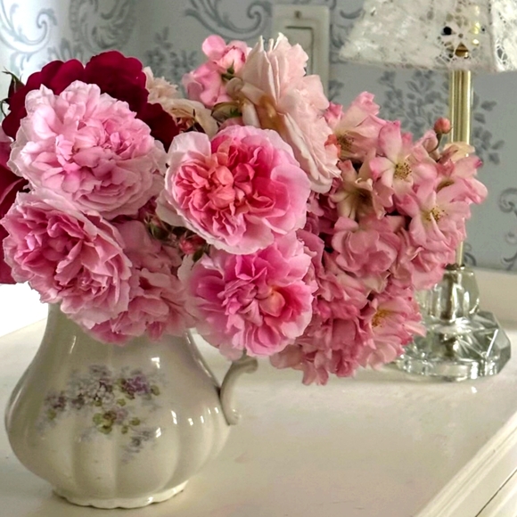 Meet your Posher, Eva - Picture 1 of 1